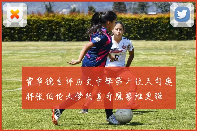霍华德自评历史中锋第六位天勾奥胖张伯伦大梦约基奇魔兽谁更强