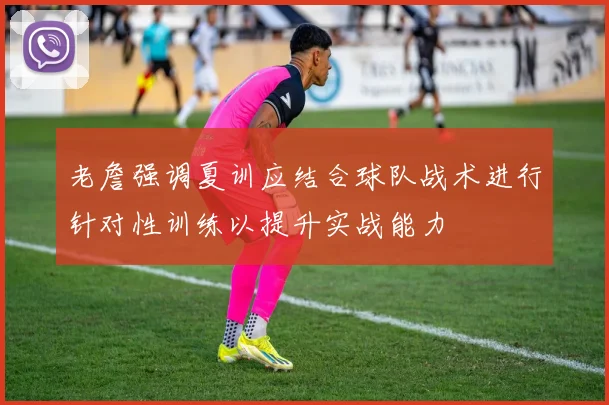 老詹强调夏训应结合球队战术进行针对性训练以提升实战能力