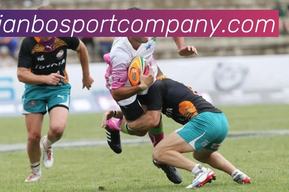 天博足球服务体系