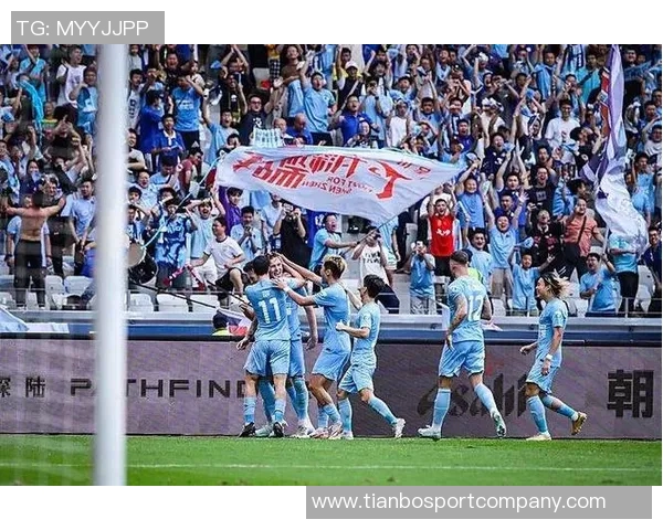 深圳新鹏城宣布中超收官战门票全场仅售60元今日18点正式开售